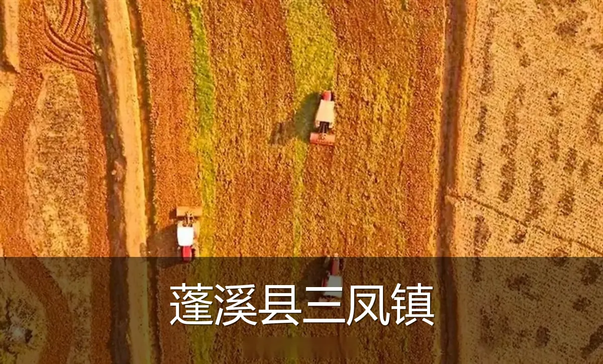 蓬溪县三凤镇