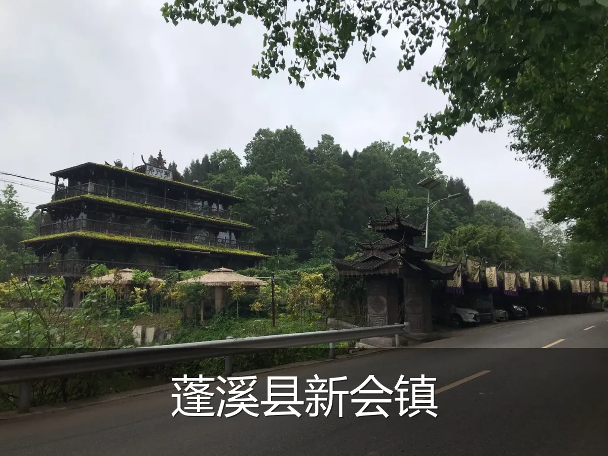 蓬溪县新会镇