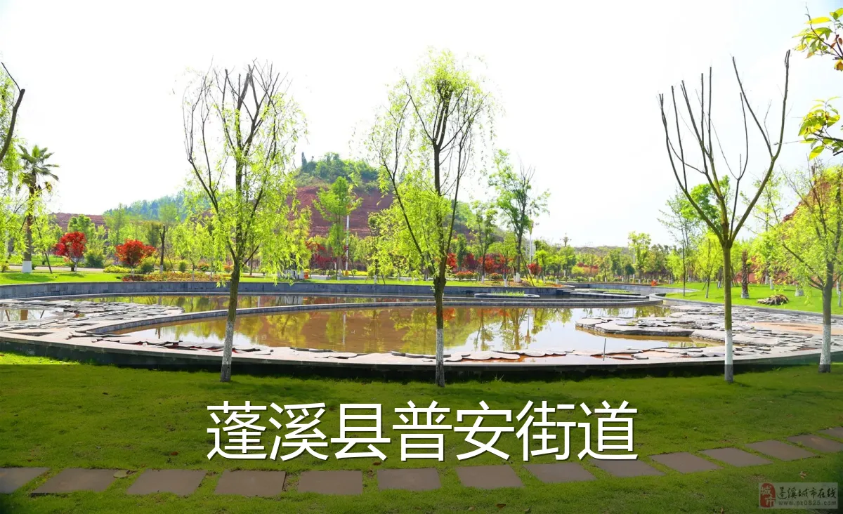 蓬溪县普安街道