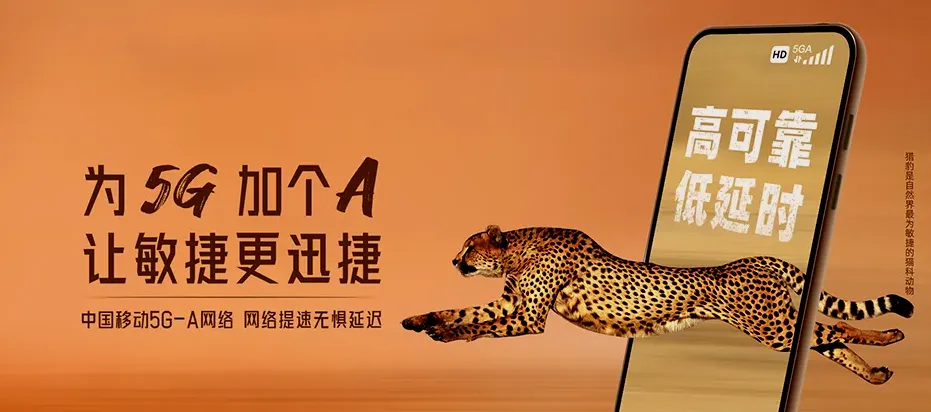 蓬溪县蓬溪县金桥镇 移动宽带